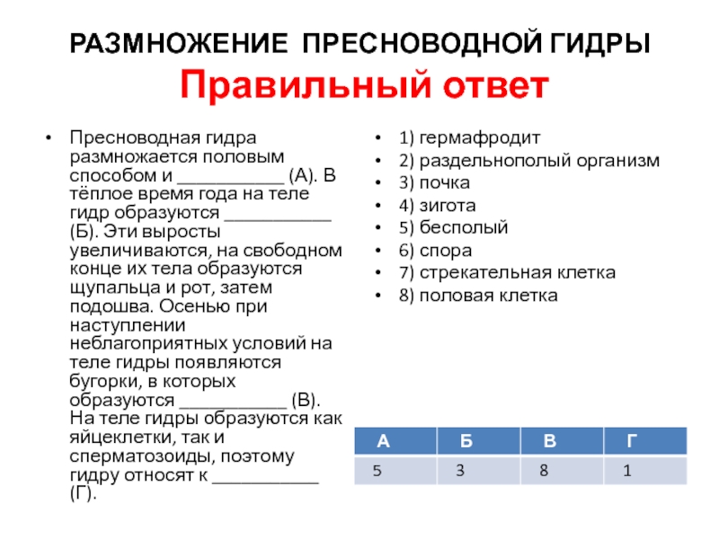 Кракен через тор